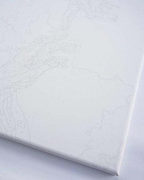 Malen nach Zahlen Ninja (BS54072)