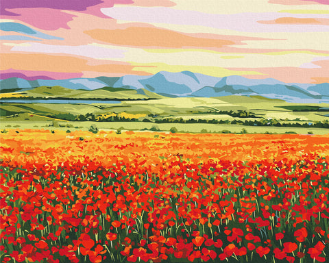 Malen nach Zahlen Sonnenuntergang über einem Blumenfeld © Anna Steshenko (BS53922)