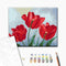 Malen nach Zahlen Rote Tulpen © Anna Steshenko (BS53916)