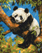 Malen nach Zahlen Faule Pandas (BS53982)