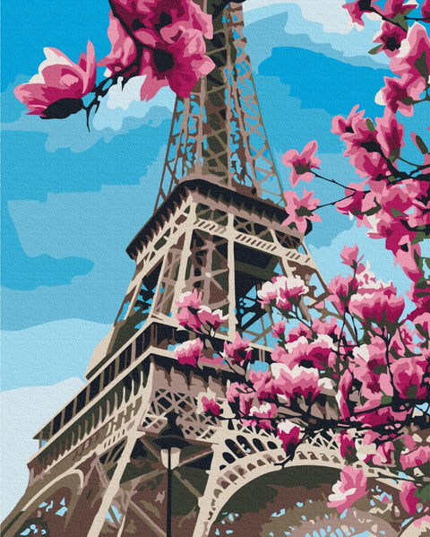 Malen nach Zahlen Magnolienblüte in Paris (BS32320)