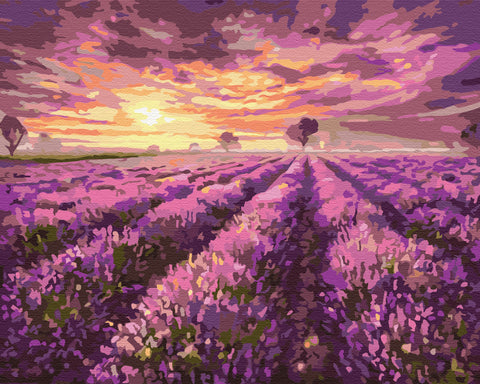Malen nach Zahlen Lavendel-Sonnenuntergang (BS3230)
