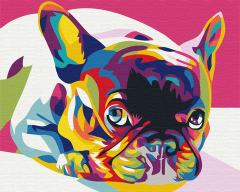 Malen nach Zahlen Französische Regenbogen-Bulldogge (BS5379)