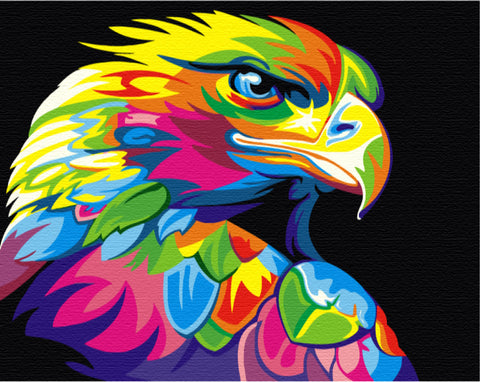 Malen nach Zahlen Regenbogenadler (BS5329)
