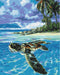 Malen nach Zahlen Tropische Schildkröte (BS51422)