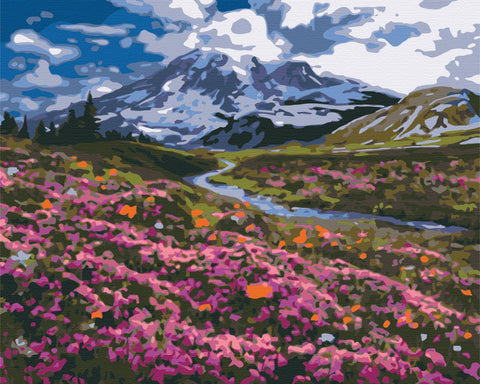 Malen nach Zahlen Alpenwiese (BS34648)