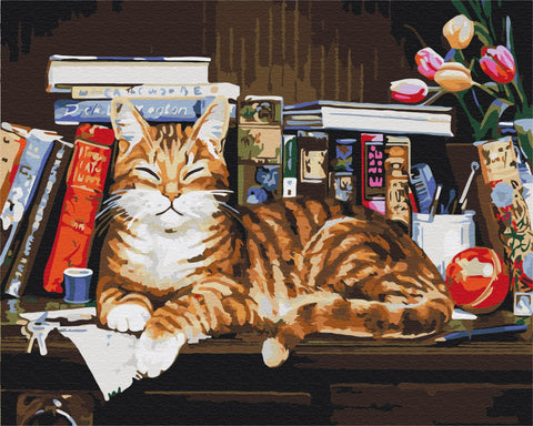 Malen nach Zahlen Eine Katze auf einem Bücherregal (BS4142)
