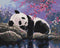 Malen nach Zahlen Pandas süßer Traum (BS25108)