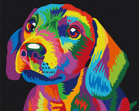Malen nach Zahlen Regenbogenhund (BS35669)