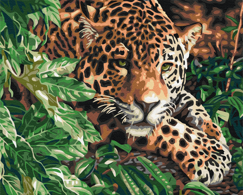 Malen nach Zahlen Der Leopard mit smaragdgrünen Augen (BS51754)