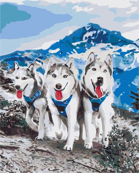 Malen nach Zahlen Husky-Freunde (BS52389)