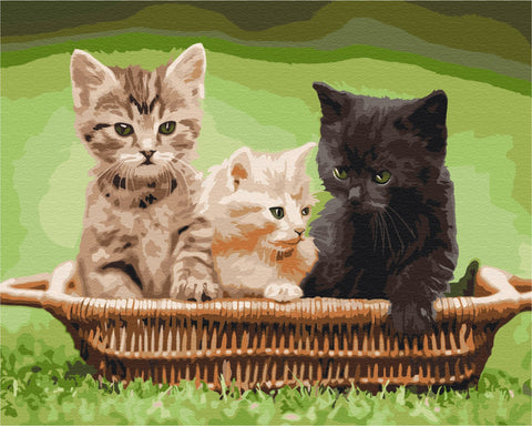 Malen nach Zahlen Die Kätzchen in einem Korb (BS52621)