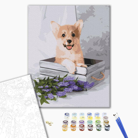 Malen nach Zahlen Verspielter Corgi (BS52653)