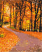 Malen nach Zahlen Herbstpark (BS52618)