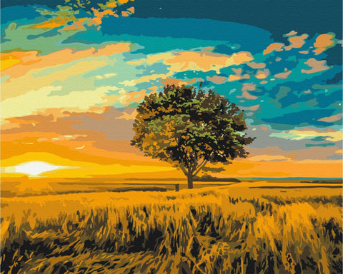 Malen nach Zahlen Goldener Sonnenuntergang (BS52578)