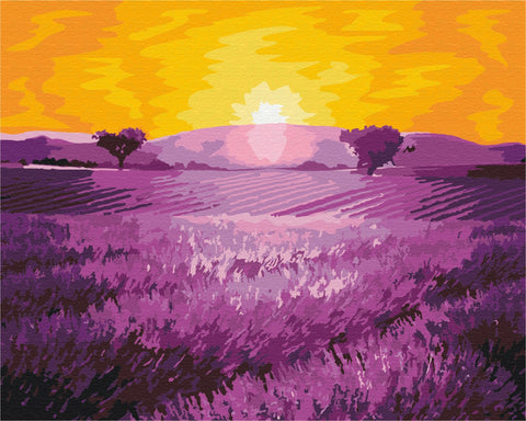 Malen nach Zahlen Sonnenaufgang über Lavendel (BS52690)