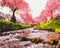 Malen nach Zahlen Der Fluss bei Sakura (BS25577)