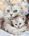 Malen nach Zahlen Katze-Mama mit Kätzchen (BS52689)
