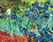 Malen nach Zahlen Schwertlilien Van Gogh (BS51339)