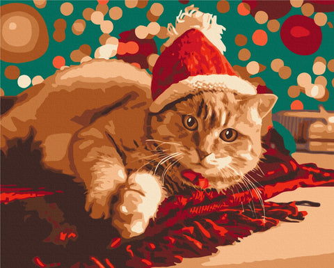 Malen nach Zahlen Die Weihnachtsmann-Katze (BS51356)