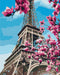 Malen nach Zahlen Magnolienblüte in Paris (BS32320)