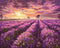 Malen nach Zahlen Lavendel-Sonnenuntergang (BS3230)