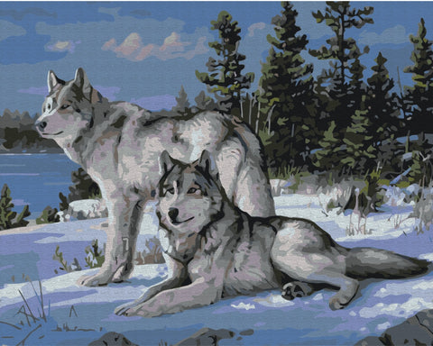 Malen nach Zahlen Wolfsschützer (BS51412)