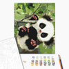 Malen nach Zahlen Verspielter Panda (BS51959)