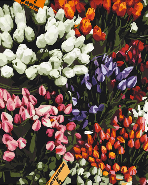 Malen nach Zahlen Tulpenmesse (BS52646)