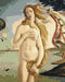 Malen nach Zahlen Der Geburt der Venus Sandra Botticelli (BS52409)
