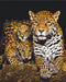 Malen nach Zahlen Nachtleoparden (BS52791)