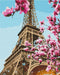Malen nach Zahlen Sakura in Paris (BS52836)