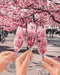 Malen nach Zahlen Frühling in Gläsern © Oksana Vorobiy (BS53036)