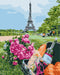 Malen nach Zahlen Picknick auf den Champs-Élysées (BS51635)