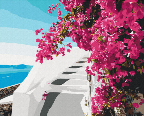 Malen nach Zahlen Santorini-Blumen (BS52717)