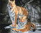 Malen nach Zahlen Wilde Tiger (BS52793)