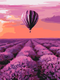 Malen nach Zahlen Heißluftballon in der Provence (RBS32305)