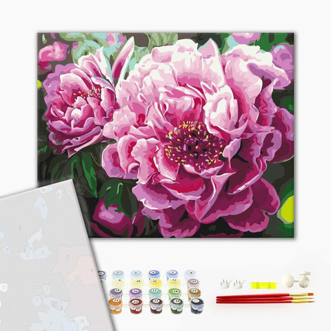 Premium Malen nach Zahlen Luxurious peonies (PBS4667)