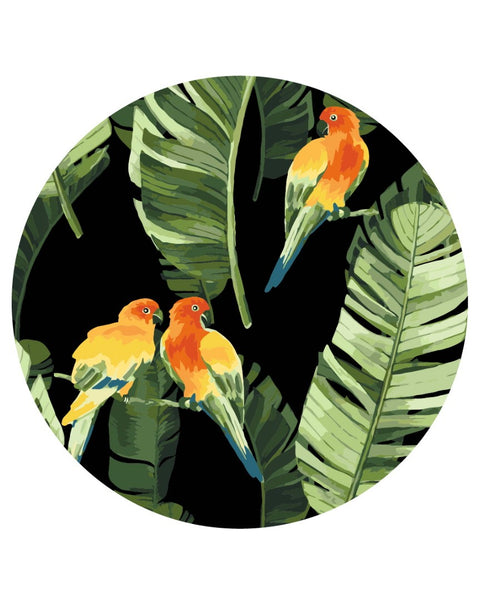 Rundes Malen nach Zahlen Papageien in den Tropen (Größe M) (RC00018M)