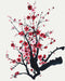 Malen nach Zahlen Sakura-Zweig © Yana Biluhina (BS53801)