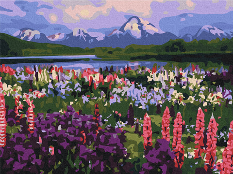 Malen nach Zahlen Tal der Wildblumen (RBS21019)